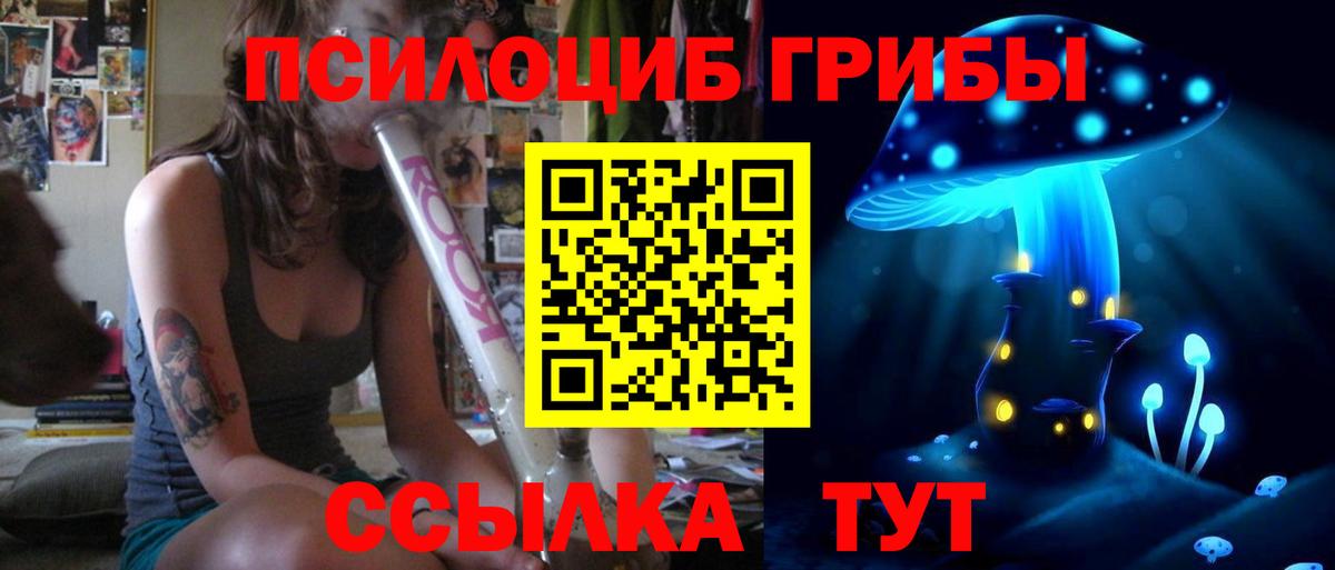 Галлюциногенные грибы Psilocybine cubensis Химки